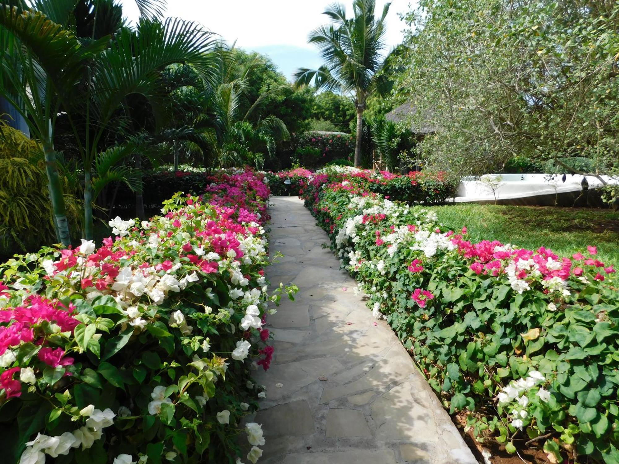 Dama Villa Watamu Eksteriør bilde